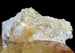 Twinned Calcite Crystal - Tennessee (Special Price) #64749-1